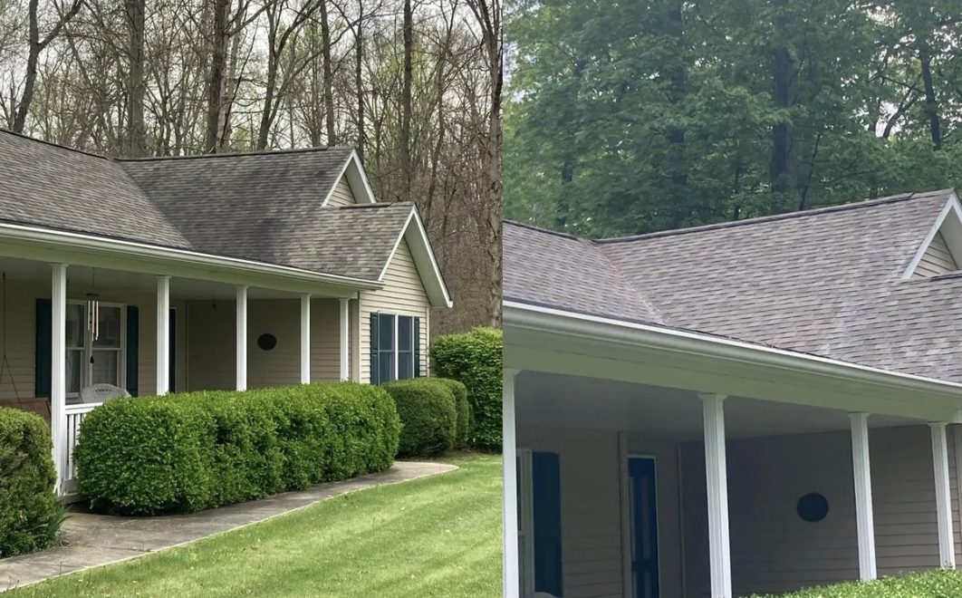 Roof Cleaning